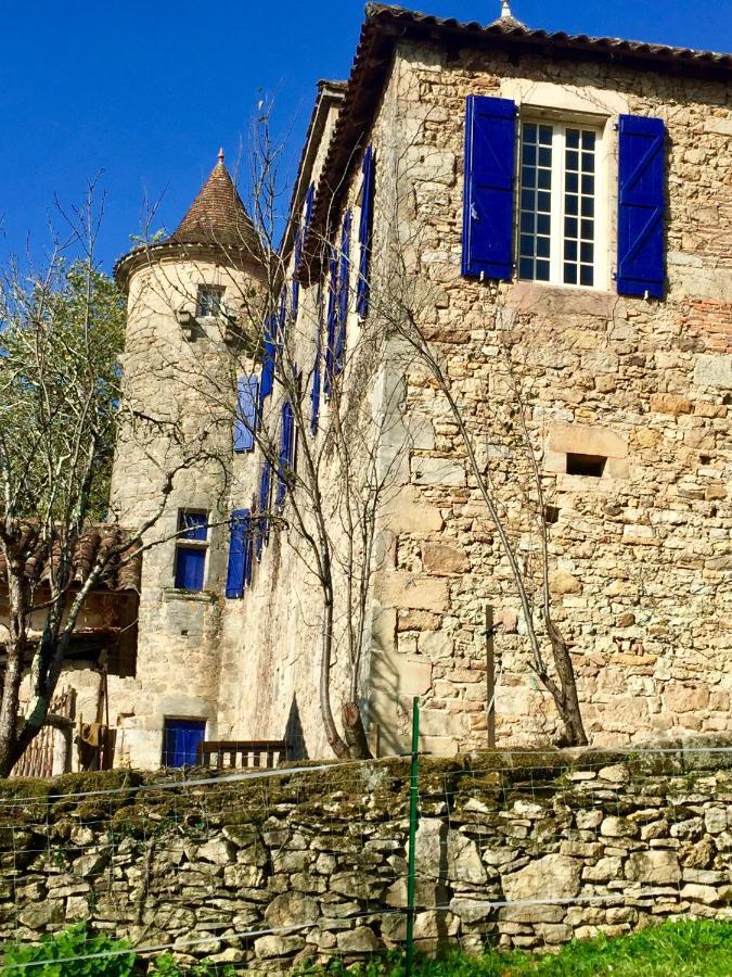 Le Manoir Enchante Фижак Экстерьер фото